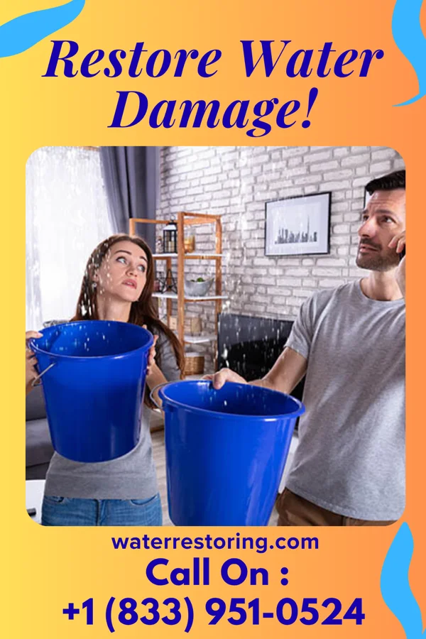 water restoration Premier Flood Damage Inc Lake Meade