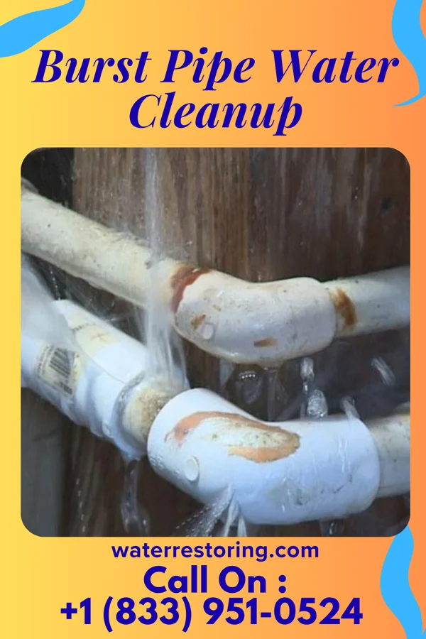 Burst Pipe Water Cleanup in Lake Meade, PA