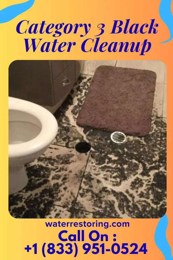 Category 3 Black Water Cleanup in Lake Meade, PA