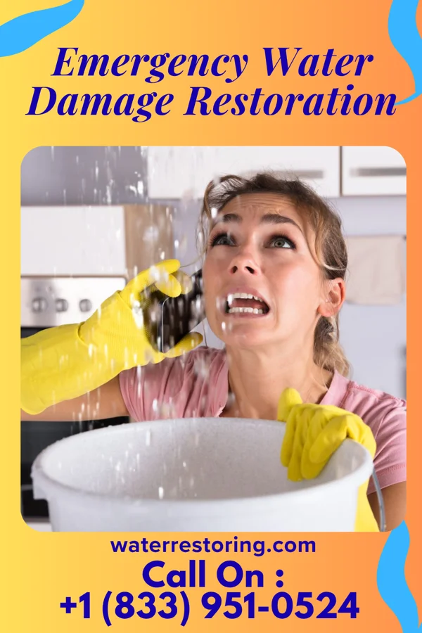 Emergency Water Damage Restoration in Lake Meade, PA