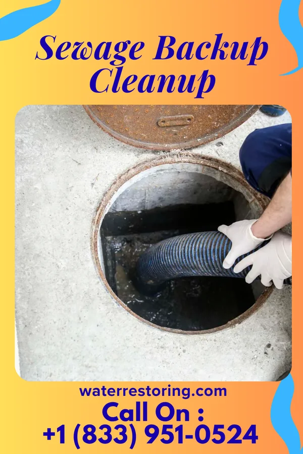 Sewage Backup Cleanup in Lake Meade, PA