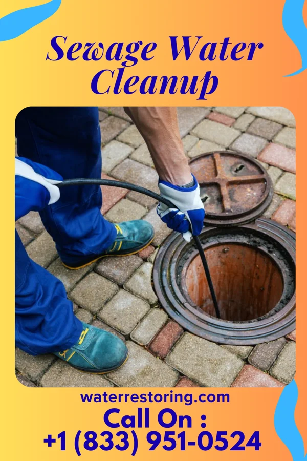 Sewage Water Cleanup in Lake Meade, PA
